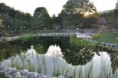 /album/fotogalerie/dsc-0388-copy-jpg/